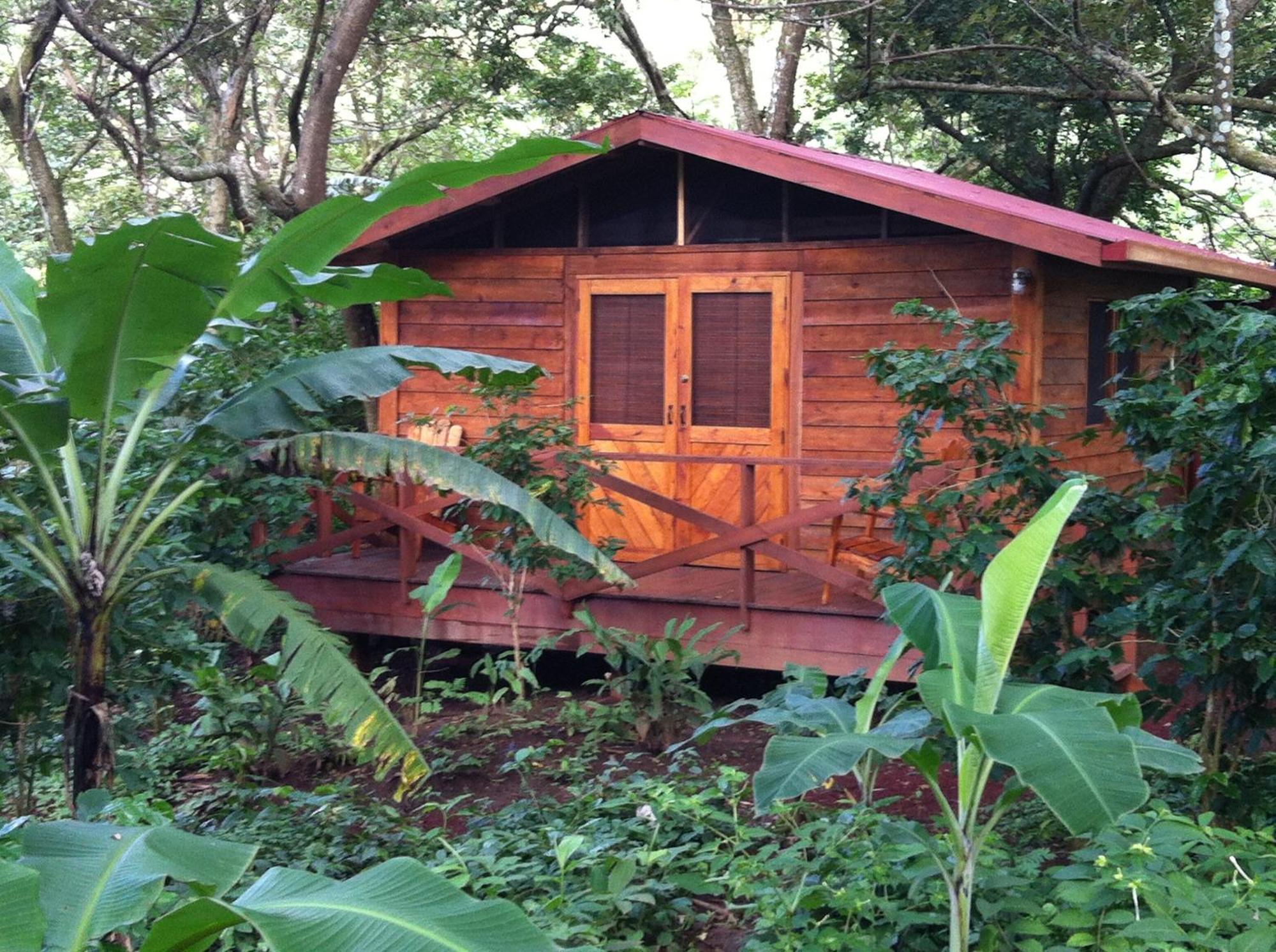 Mombacho Lodge Granada Pokoj fotografie
